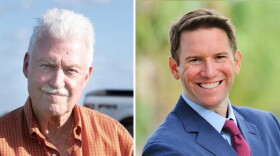 Rick Roth and David Silvers are running for state Senate.