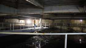 City and Borough of Juneau’s Utilities Superintendent Brian McGuire walks across a bridge in the wastewater clarifier building at the Juneau Douglas Wastewater Treatment Plant.