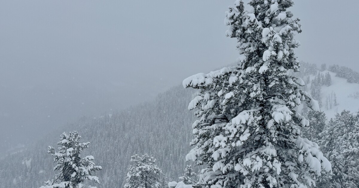 Wild About Utah: Arctic dreams