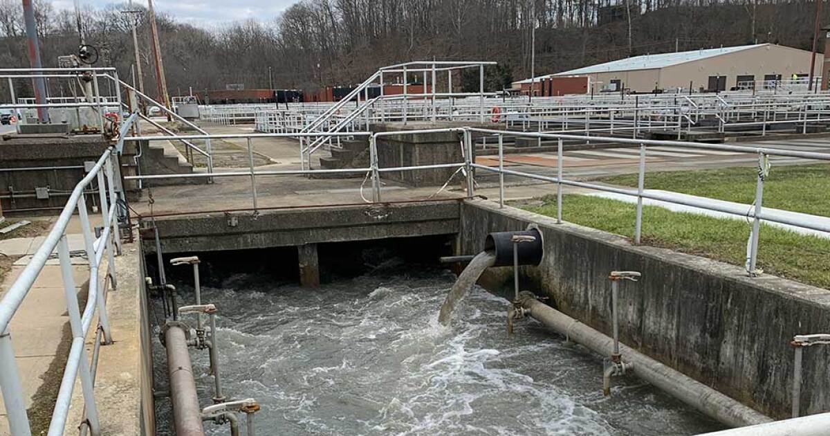 Brewing Locally Image