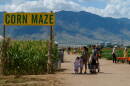 AZ ILL Apple Annies corn maze segment thumb