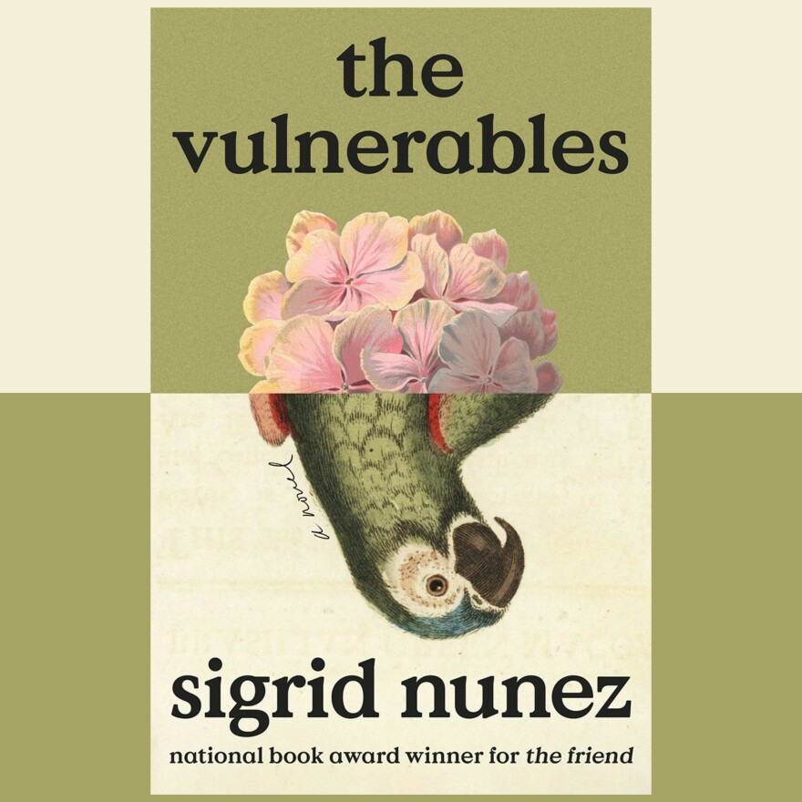 Book cover for "The Vulnerables" by Sigrid Nunez