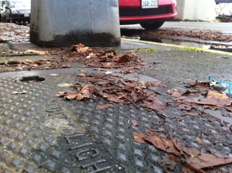 The base of a metal streetlight and City Light metal vault cover on 5th Avenue in Belltown. After a dog was electrocuted last month through a plate and light conveying voltage, the city is inspecting 20,000 lights and connections.