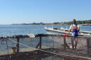 Erich Berghahn, part of the UNH AquaFort team, feeds the steelhead trout at the AquaFort project off the coast of New Castle, NH.