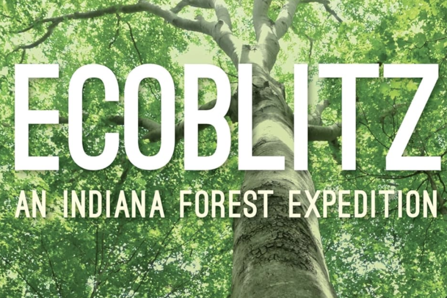 The Indiana Forest Alliance would like to see the two state forest areas designated as a type of High Conservation Value Forest — which would allow for more old growth trees.