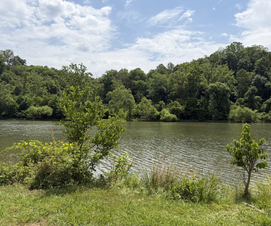 The Dan River flowing through Danville, Virginia.