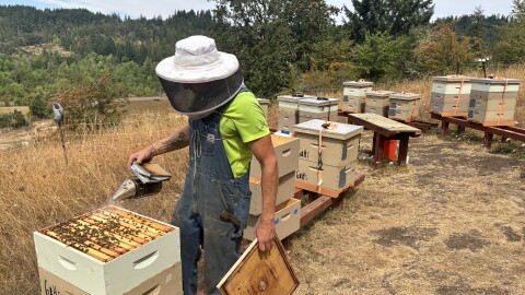 Andre ́ Sirois uses smoke on one of his hives, Aug. 21, 2026