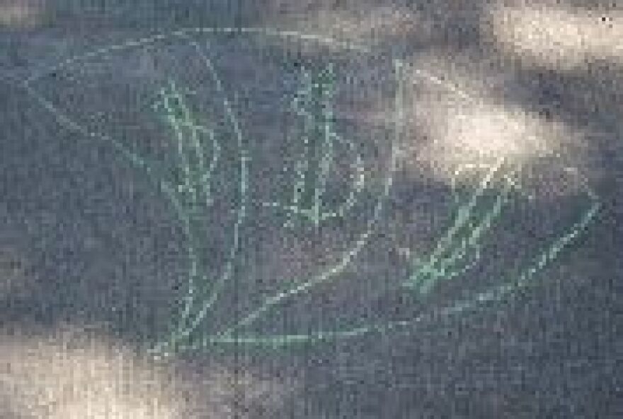 Photo by Brendan Riley