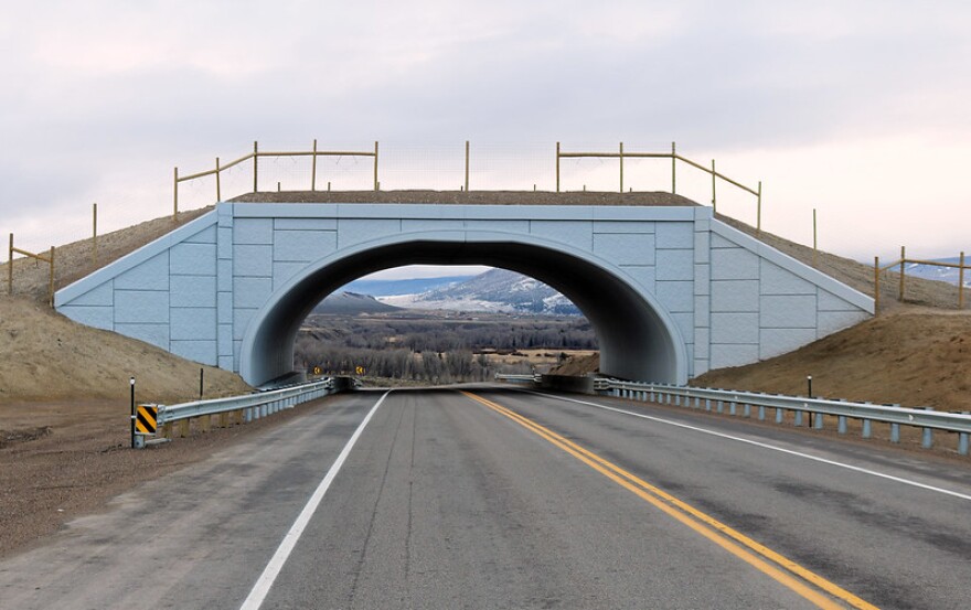 A wildlife overpass in Grand County, Colo. 
