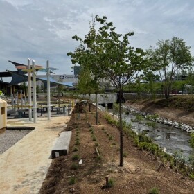 Gatton Park on the Town Branch under construction
