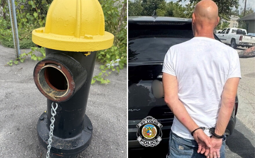 St. Louis Police arrested a man Thursday accused of vandalizing dozens of fire hydrants.