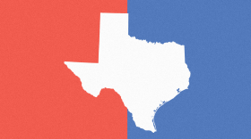 Texas State Election Results 2020