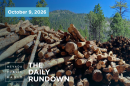 Stacks of logs in the San Francisco Peaks of the Coconino National Forest in northern Arizona await cutting and splitting into firewood on June 8, 2020. Tall stacks of logs left over from a forest thinning project in mountains overlooking Flagstaff are being processed into thousands of cords of free firewood to provide a winter heat source for northern Arizonans, including residents of the Navajo and Hopi reservations. (AP Photo/Paul Davenport)