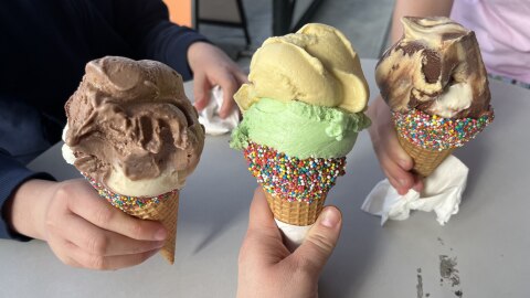 Three hands hold waffle cones filled with scoops of ice cream in assorted flavors, each cone dipped in rainbow sprinkles, over an outdoor café table.