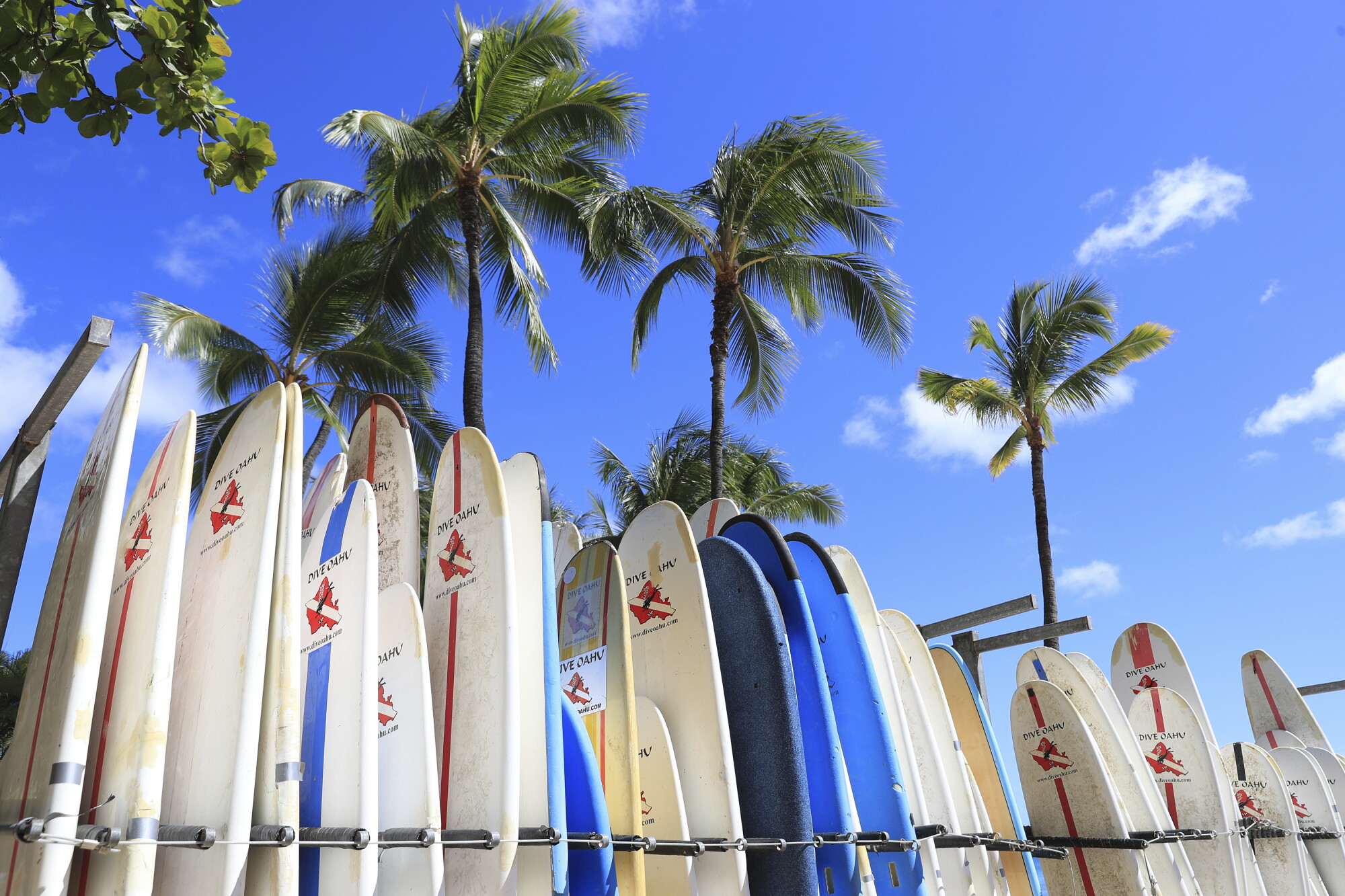 The Conversation: First-ever Hawaiʻi high school surf championship; Holomua Marine Initiative episode artwork
