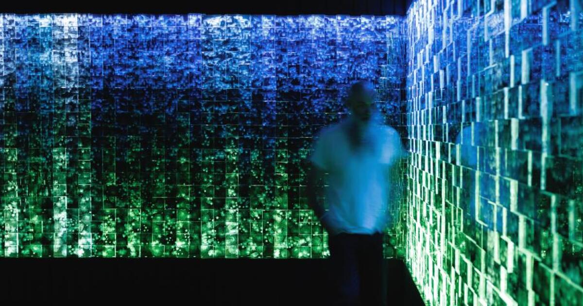 UVA immerses visitors in a world of sound and light