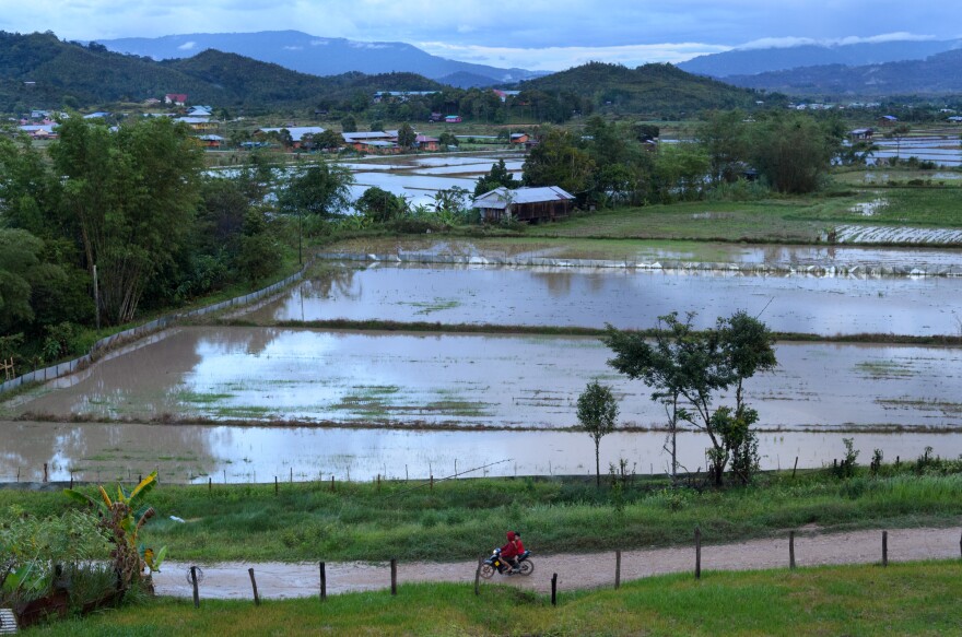 Bario and its rice paddies in the Kelabit Highlands of Malaysia.