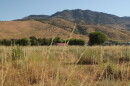 The view from the Blue Nixon farm conservation easement in Ogden Valley. 