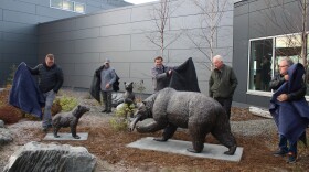 Kenai Mayor Henry Knackstedt (center) helps unveil a bronze bear sculpture garden at the Kenai Municipal Airport on Thursday, Nov. 6, 2025 in Kenai, Alaska.