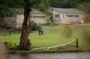 A view of Camp Mystic from the banks across the river after the flood as game wardens search the area and guard the grounds.