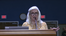 Escambia County resident Margaret Hofstetter asks commissioners to publicly discuss how they would prepare for potential revenue losses if voters approve Amendment 3 in November.