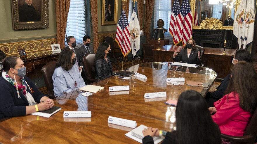 Vice President Kamala Harris speaks during a meeting with Native American community leaders about voting rights together with Secretary of the Interior Deb Haaland (left) in July 2021.