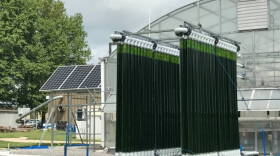 The system will be modeled after this photobioreactor, located at Duke Energy's East Bend Coal Power Plant, designed by the University of Kentucky.