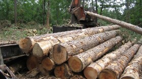 Logging already occurs in national forests, including in the Ouachita National Forest.
