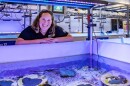 Woman looking over a pool full of coral