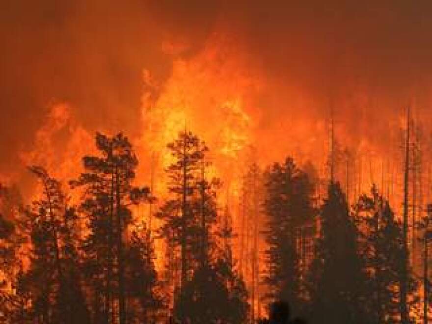 The Wallow Fire burned 840 square miles in Arizona and New Mexico.
