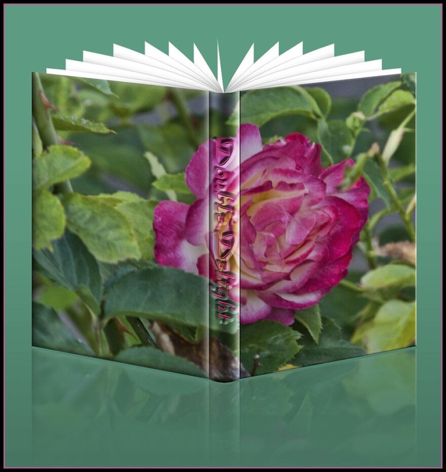 Book Of Double Delight
