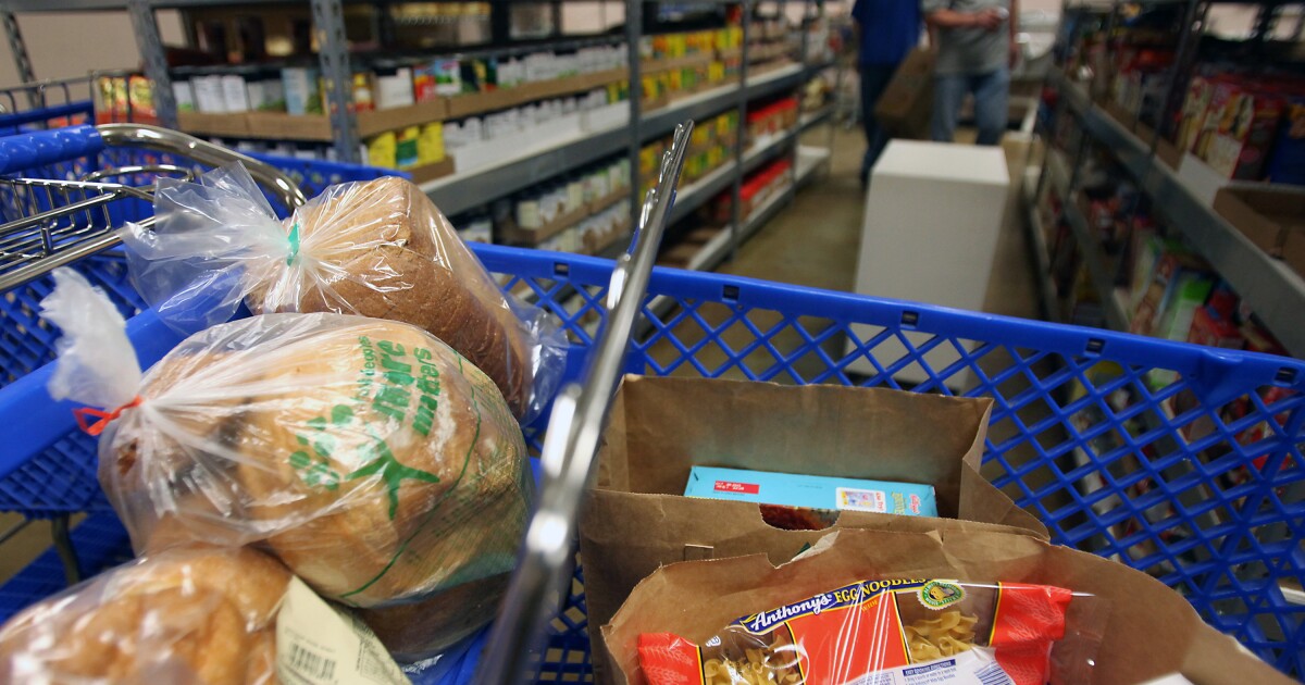 CT distributes more than 8.8M in SNAP benefits to over 57,000 children Connecticut Public