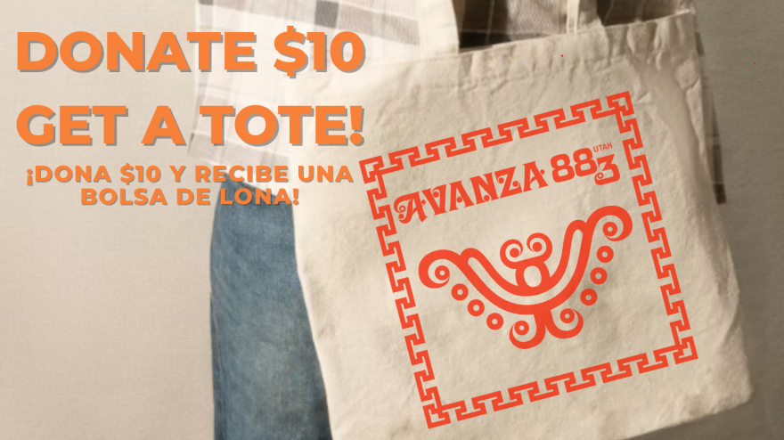 Donate $10 for an Avanza tote