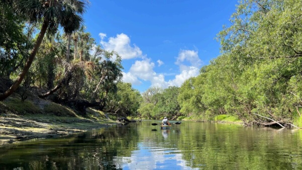 Free conference teaches how to help ecosystems weather climate change; what to do if they can't
