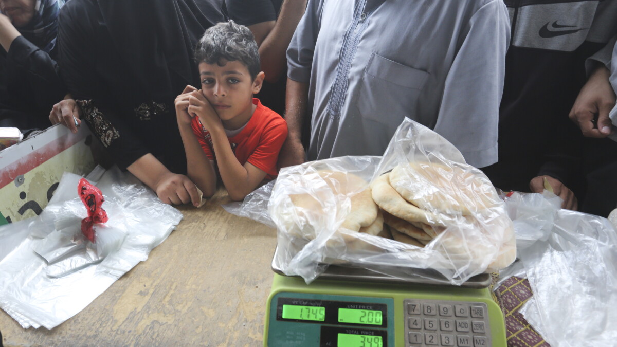 Thousands break into Gaza aid warehouses as deaths top 8,000 and Israel widens ground offensive - Vimarsana News