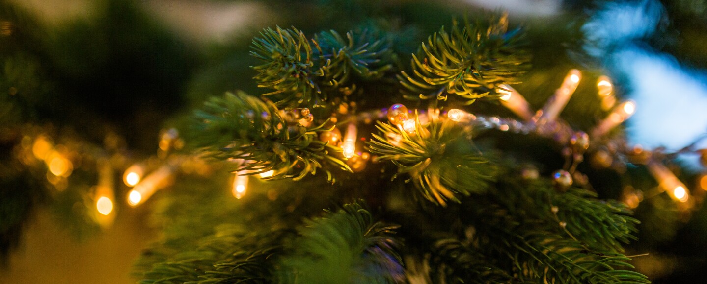 Christmas tree with white lights