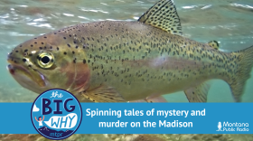 The Big Why: Spinning tales of mystery and murder on the Madison