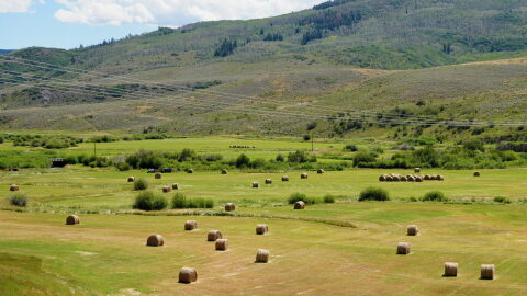 Hay bales lie in pastures in front of foothills to mountains.