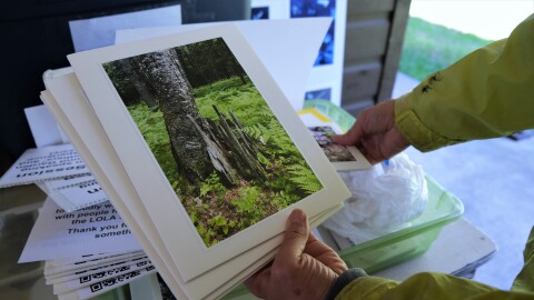 Artwork created by community members is placed throughout the sound garden in the spot the artwork was created.