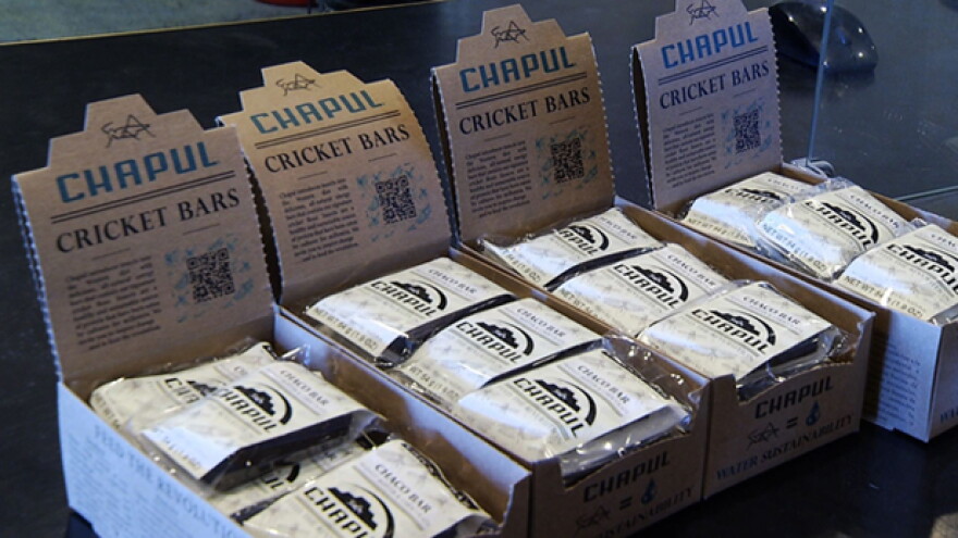 Cricket Bars SPOT