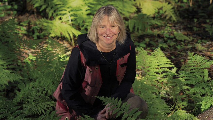 Suzanne Simard is a professor of forest ecology at the University of British Columbia. Her own medical journey inspired her research into, among other things, the way yew trees communicate chemically with neighboring trees for their mutual defense.