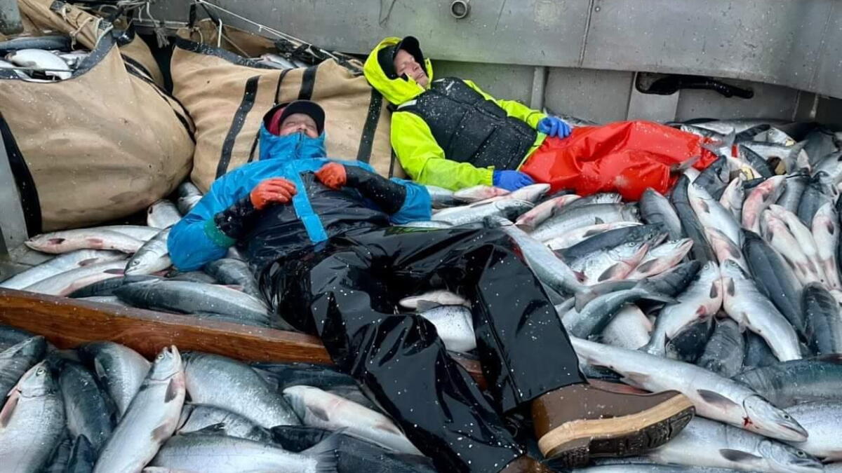 USDA to buy almost $120M of Alaska seafood, with nudge from the congressional delegation - Vimarsana News