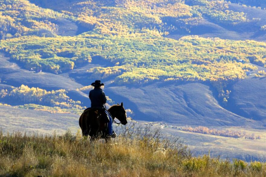 A wrangler overlooks aspen trees with their autumn colors, near Jacks Cabin in the Slate River Valley near Crested Butte, Colo. while gathering the Spann cattle from the U.S. National Forest lands. (Nathan Bilow/AP)