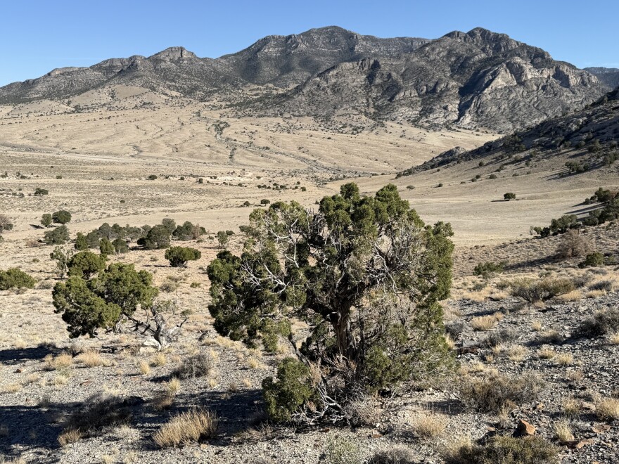 High desert landscape of Pine Valley, Utah, with sagebrush, open terrain and mountain ridges in the distance.