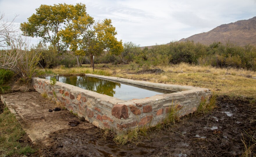 A water trough filled with spring water at the Baviza Springs site, a rare salt marsh cienega. The Chinati Mountains have abundant springs due to the area’s geology. Park officials will work to remove outlaw cattle to restore the wetland.