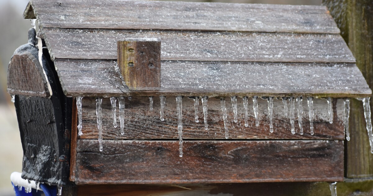 Are emergency cold weather shelters helping protect the homeless?