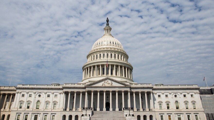 The United States Capitol is pictured.