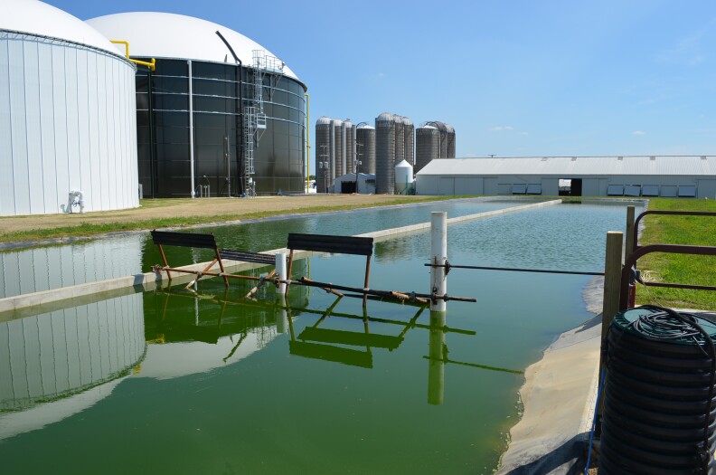 MSU algal pond