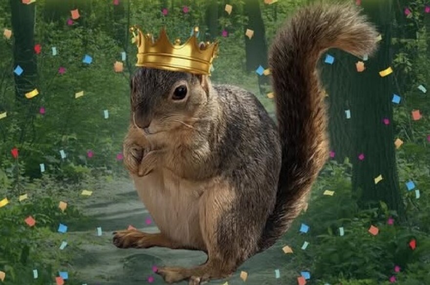 "Chunkosaurus Rex" —Winner of TPWD's "Fat Squirrel" competition