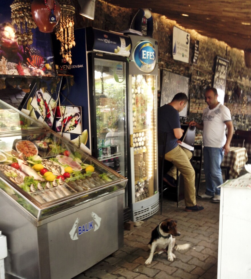 A case of seafood at Akin Balik restaurant shows off the specialty of the waterside neighborhood in Istanbul.
